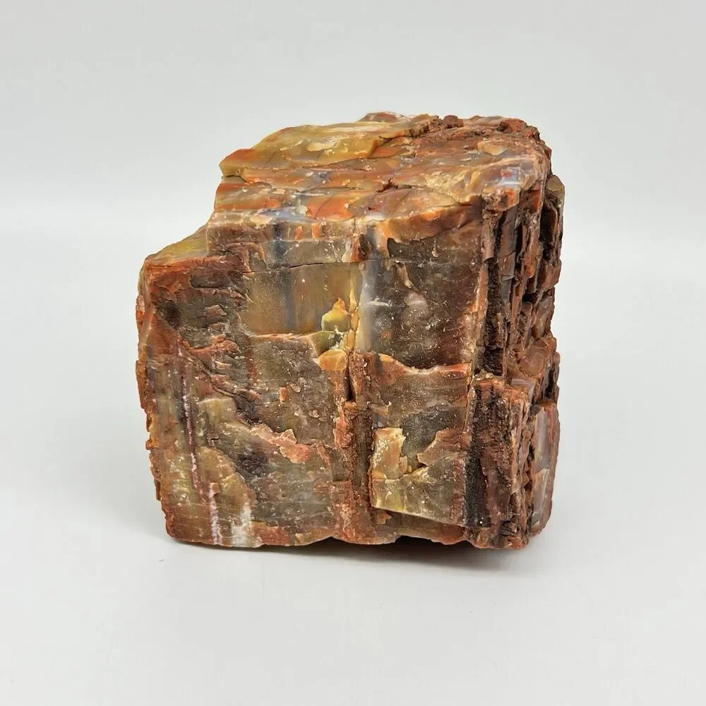 Arizona Rainbow Petrified Wood Specimen Agatized Fossil Rock 1.7lb Red Brown VTG